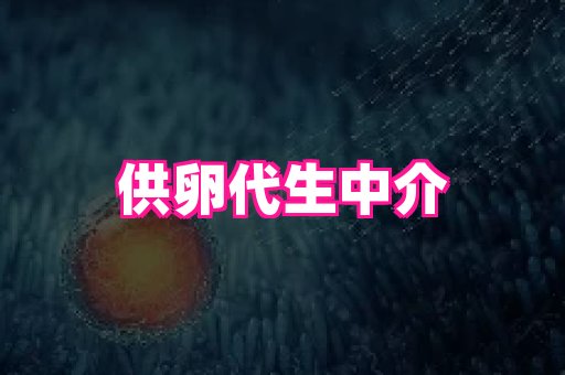 nub孕网 1