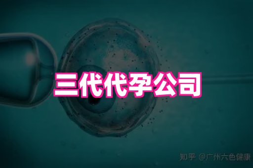 nub孕网 2
